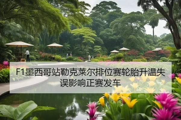 mo-xi-ge-zhan-lei-ke-lai-er-pai-wei-sai-lun-tai-sheng-wen-shi-wu-ying-xiang-zheng-sai-fa-che-2-369.jpg